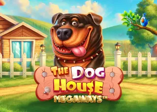 ninjaxo The Dog House Megaways ทดลองเล่นฟรี