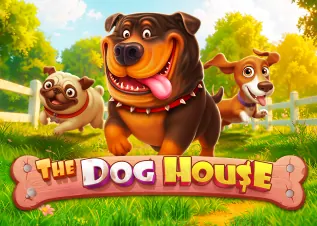 ninjaxo The Dog House ทดลองเล่นฟรี